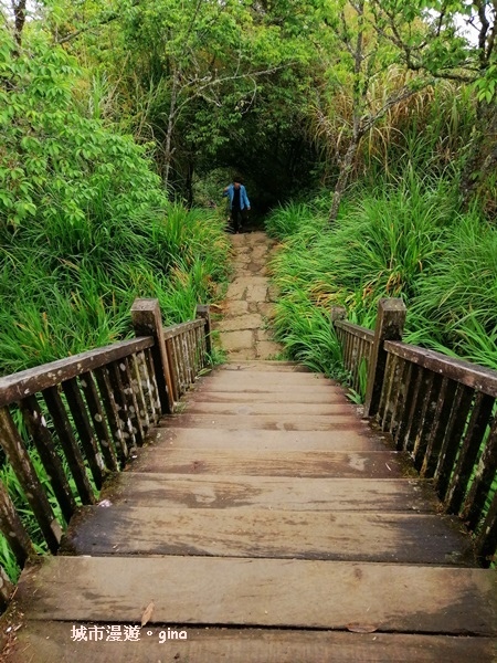 IMG_20200404_112834.jpg IMG_20200404_112834.jpg