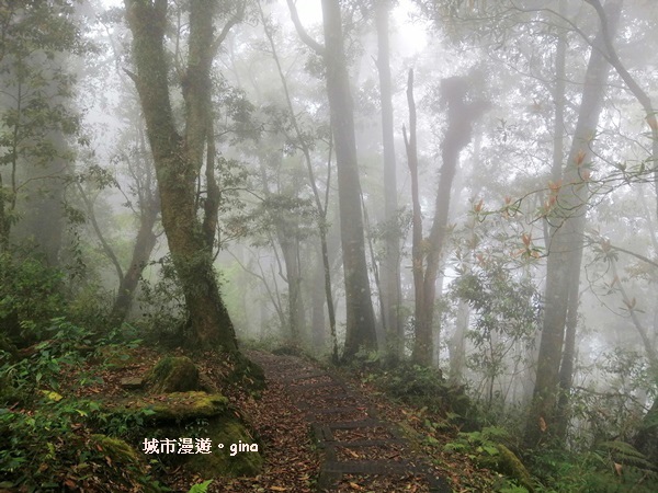 IMG_20200404_120650.jpg IMG_20200404_120650.jpg