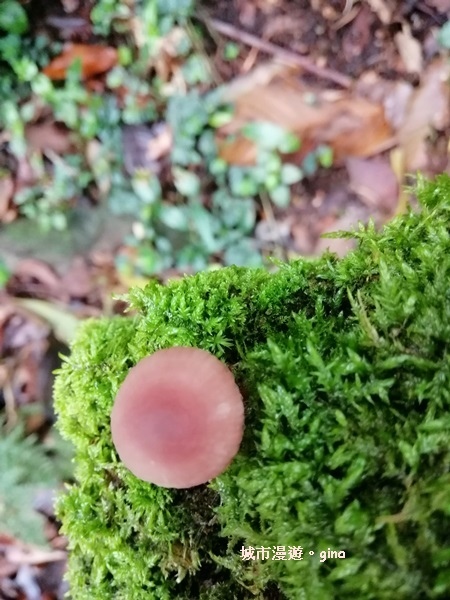 IMG_20200404_120836.jpg IMG_20200404_120836.jpg