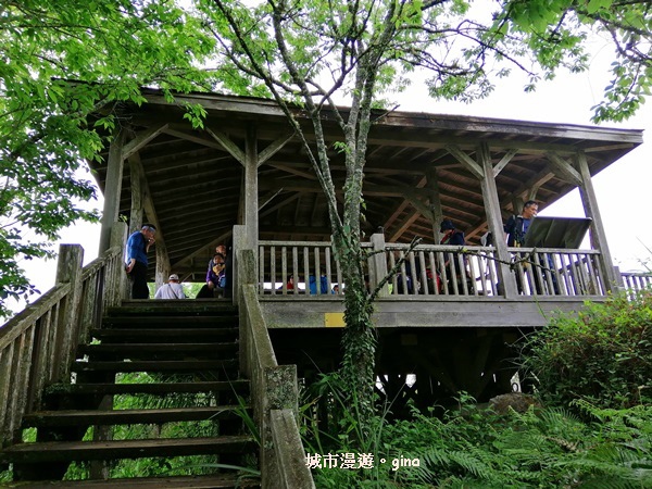 IMG_20200404_120302.jpg IMG_20200404_120302.jpg