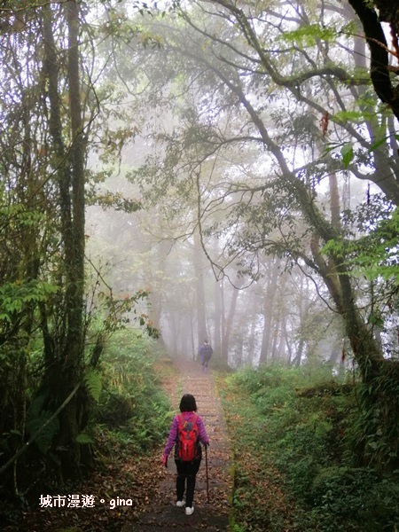 IMG_20200404_120518.jpg IMG_20200404_120518.jpg