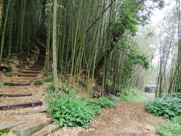 IMG_20200404_122217.jpg IMG_20200404_122217.jpg