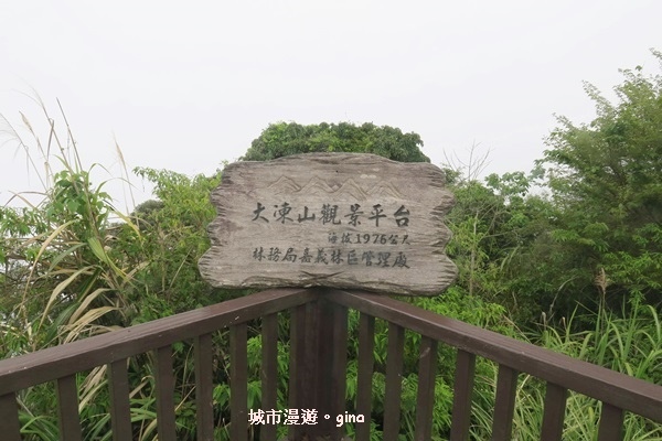 IMG_20200404_125342.jpeg IMG_20200404_125342.jpeg