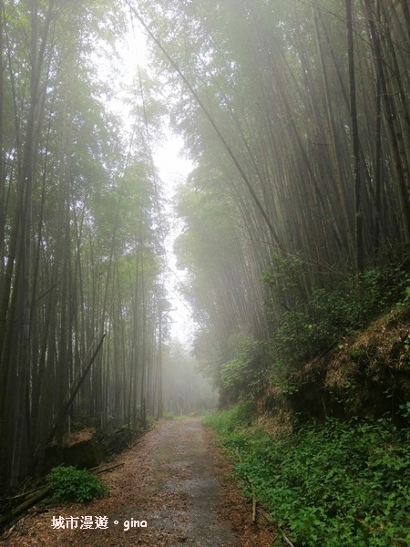 IMG_20200404_122559.jpg IMG_20200404_122559.jpg