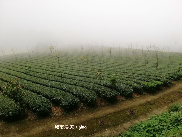 IMG_20200404_125341.jpg IMG_20200404_125341.jpg