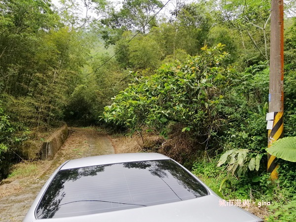 IMG_20200404_143921.jpg IMG_20200404_143921.jpg