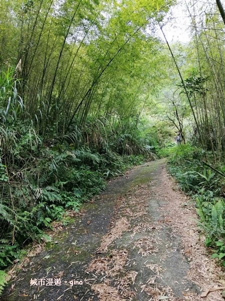 IMG_20200404_144446.jpg IMG_20200404_144446.jpg