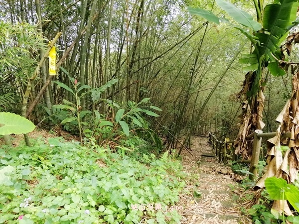 IMG_20200404_145944.jpg IMG_20200404_145944.jpg