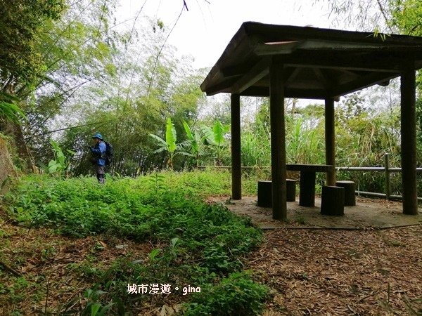 IMG_20200404_145536.jpg IMG_20200404_145536.jpg