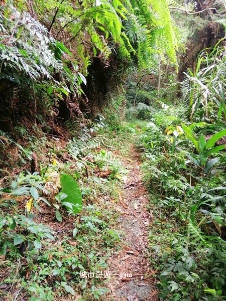 IMG_20200404_145418.jpg IMG_20200404_145418.jpg