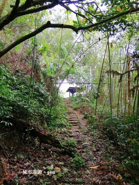 【嘉義番路】荒草漫漫。 No61小百岳~大湖尖山步道1359