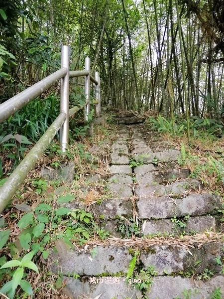 【嘉義番路】荒草漫漫。 No61小百岳~大湖尖山步道1359