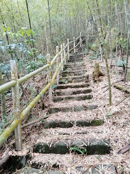 IMG_20200404_150206.jpg IMG_20200404_150206.jpg