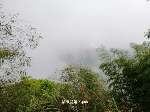 IMG_20200404_150823.jpg IMG_20200404_150823.jpg