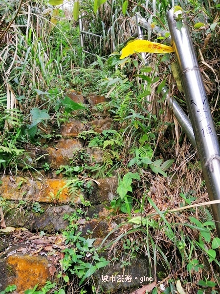 IMG_20200404_152047.jpg IMG_20200404_152047.jpg