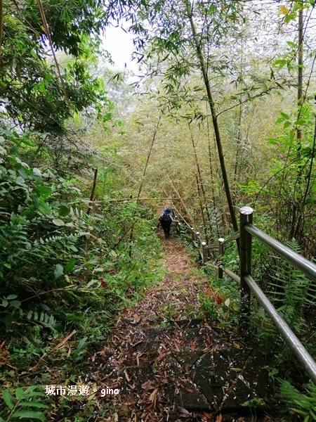 【嘉義番路】荒草漫漫。 No61小百岳~大湖尖山步道1359