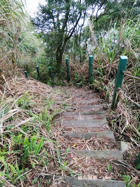 IMG_20200404_155255.jpg IMG_20200404_155255.jpg