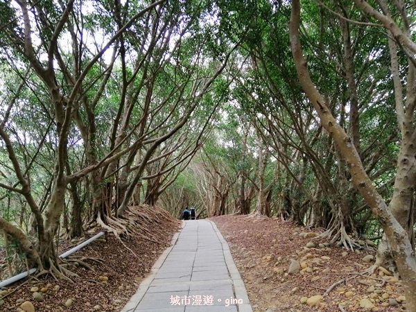 IMG_20200405_085603.jpg IMG_20200405_085603.jpg