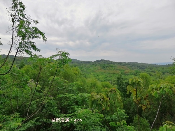 IMG_20200405_085857.jpg IMG_20200405_085857.jpg