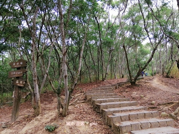 IMG_20200405_094433.jpg IMG_20200405_094433.jpg