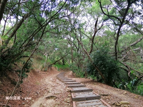 IMG_20200405_093856.jpg IMG_20200405_093856.jpg