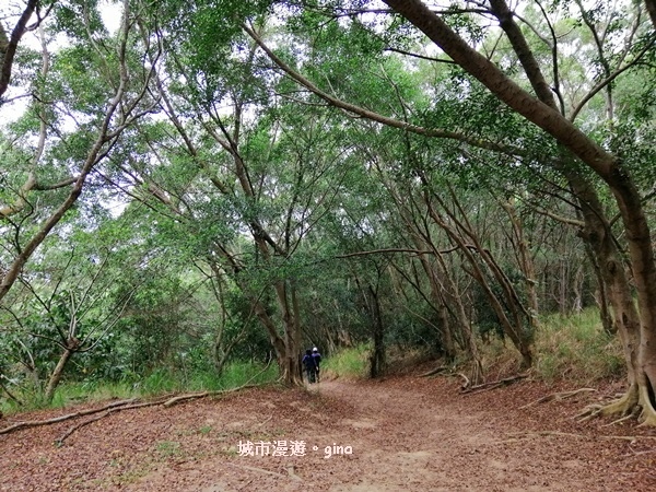 IMG_20200405_094452.jpg IMG_20200405_094452.jpg