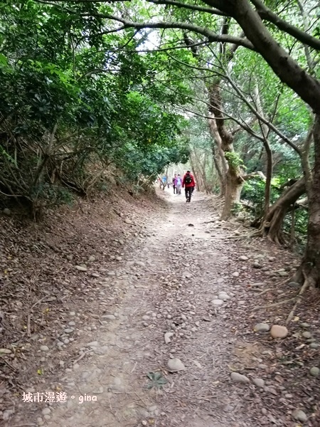 IMG_20200405_112044.jpg IMG_20200405_112044.jpg