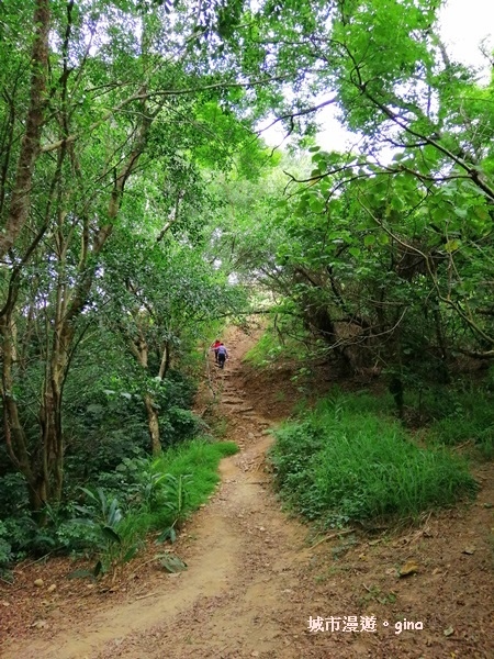 IMG_20200405_111618.jpg IMG_20200405_111618.jpg