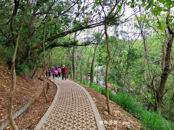 IMG_20200405_112714.jpg IMG_20200405_112714.jpg