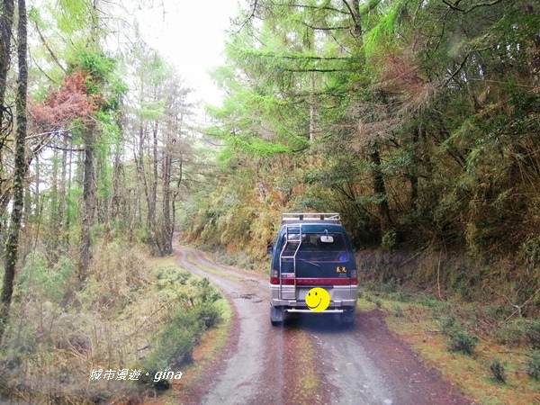 【南投信義】霧鎖山林~一趟座車比爬山還累的百岳。 No60百