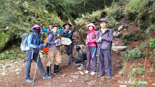 【南投信義】霧鎖山林~一趟座車比爬山還累的百岳。 No60百