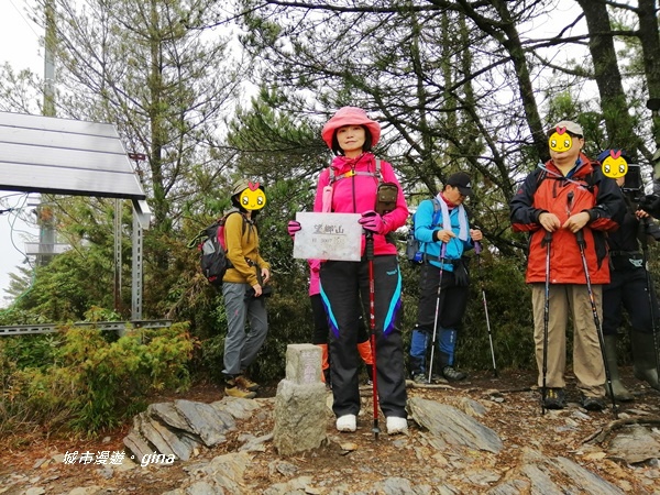 【南投信義】霧鎖山林~一趟座車比爬山還累的百岳。 No60百