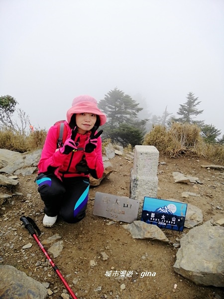 【南投信義】霧鎖山林~一趟座車比爬山還累的百岳。 No60百