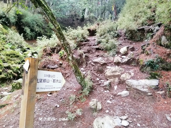 【南投信義】霧鎖山林~一趟座車比爬山還累的百岳。 No60百