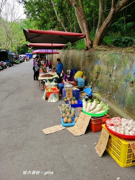 【彰化員林】健身休閒人氣步道。藤山步道