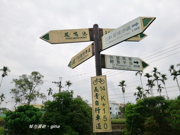 【彰化員林】健身休閒人氣步道。藤山步道