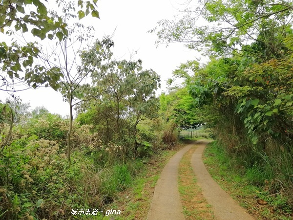 【彰化員林】健身休閒人氣步道。藤山步道