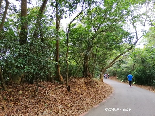 【彰化員林】健身休閒人氣步道。藤山步道