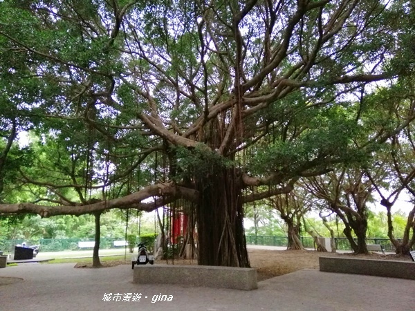 【彰化】發現不一樣的八卦山風景區。 八卦山天空步道