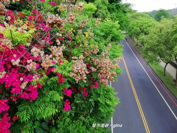 IMG_20200411_153204.jpg IMG_20200411_153204.jpg