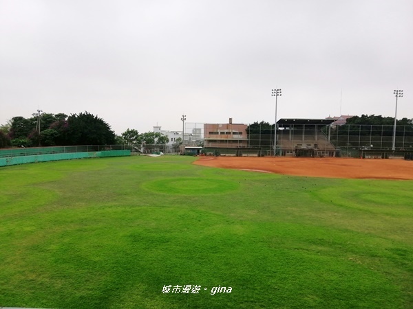 IMG_20200411_155121.jpg IMG_20200411_155121.jpg