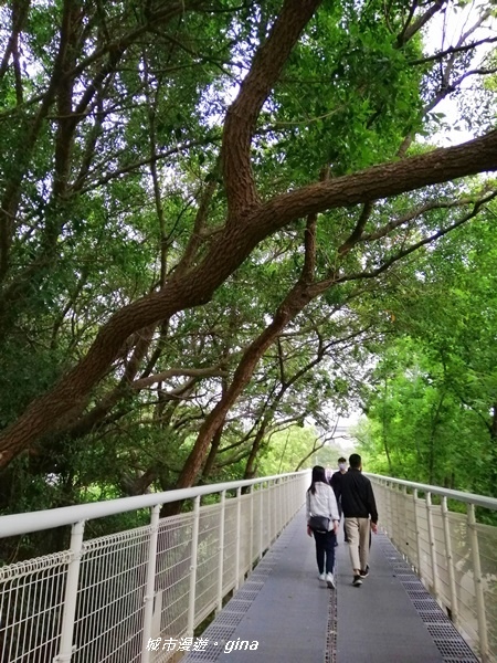 【彰化】發現不一樣的八卦山風景區。 八卦山天空步道