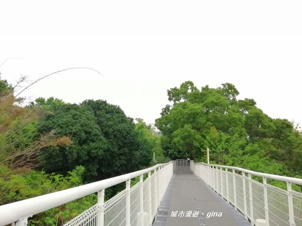 IMG_20200411_155917.jpg IMG_20200411_155917.jpg