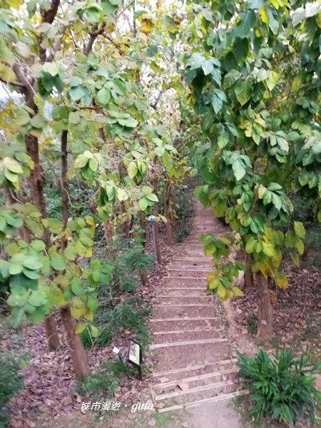 IMG_20200411_160120.jpg IMG_20200411_160120.jpg