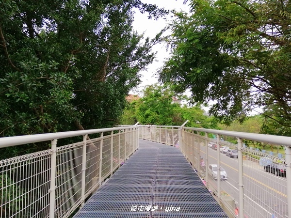 IMG_20200411_154413.jpg IMG_20200411_154413.jpg