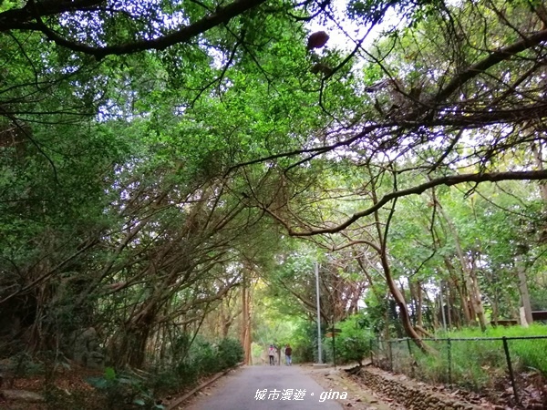 IMG_20200411_161913.jpg IMG_20200411_161913.jpg