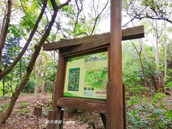 IMG_20200411_161952.jpg IMG_20200411_161952.jpg