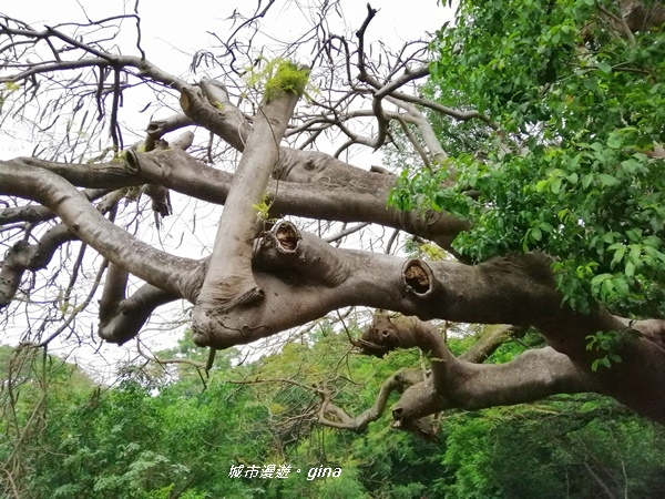 IMG_20200411_163557.jpg IMG_20200411_163557.jpg