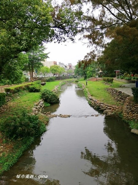 IMG_20200411_162401.jpg IMG_20200411_162401.jpg