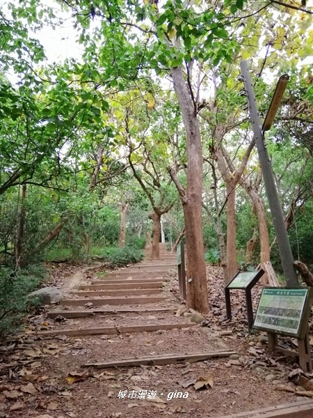 IMG_20200411_161957.jpg IMG_20200411_161957.jpg